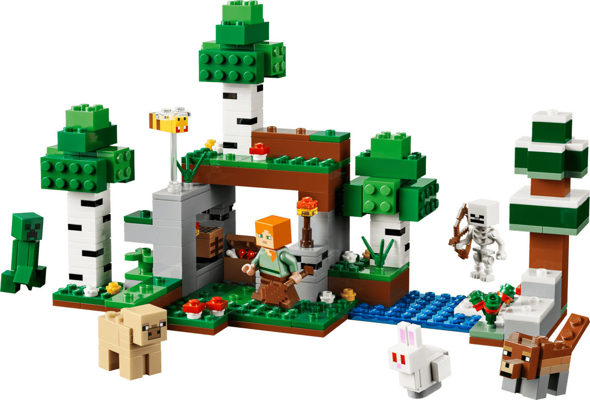 LEGO Minecraft First Night Adventure 21593