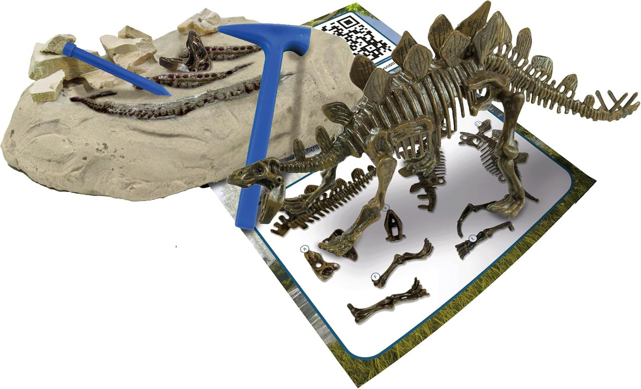 Science 4 You – Stegosaurus Fossil Excavation Kit 