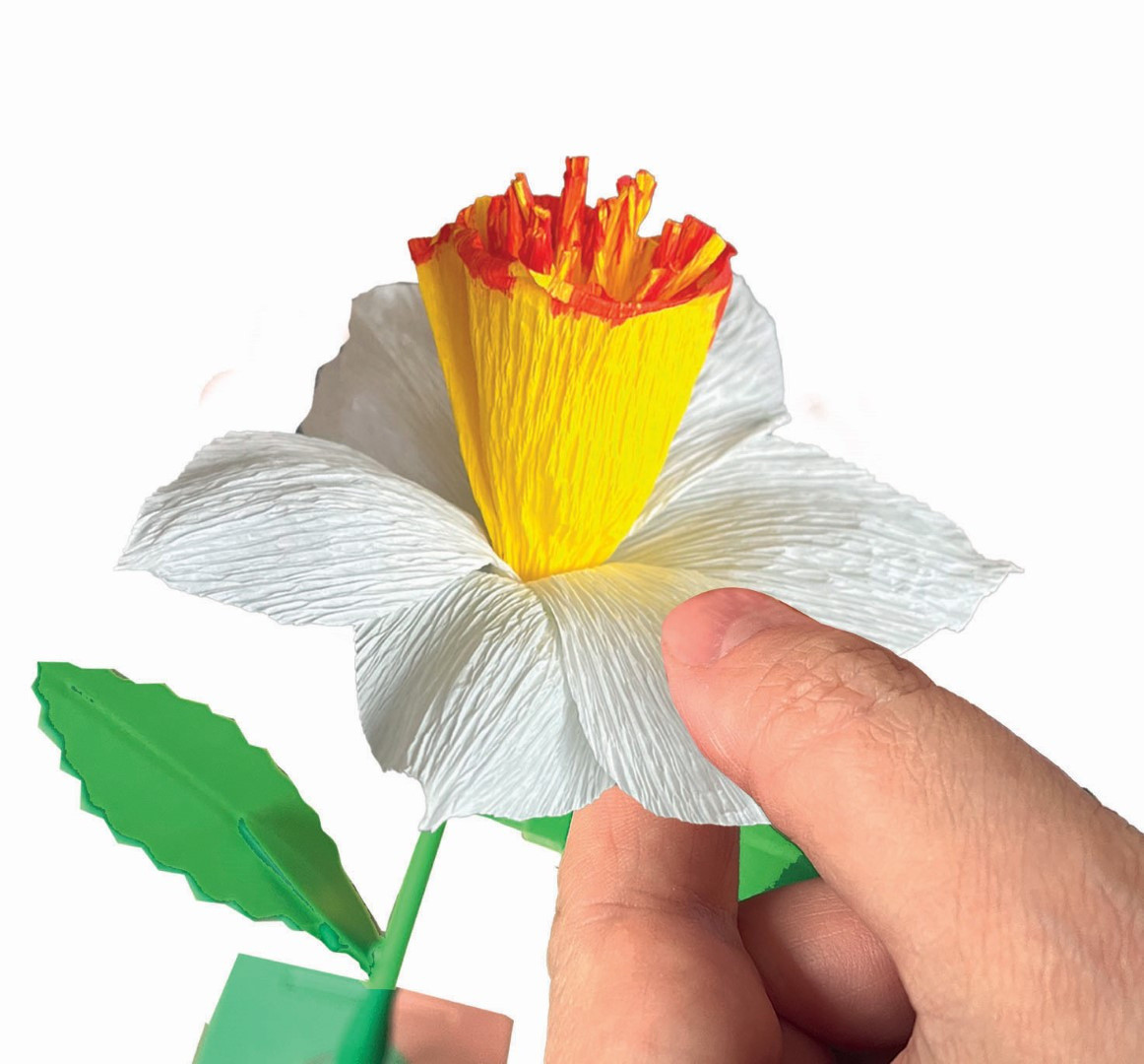 Clementoni Create Your Own Flowers - Daffodil