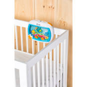 Baby Einstein Sea Dreams Soother Crib Toy Baby Einstein Sea Dreams Soother Crib Toy