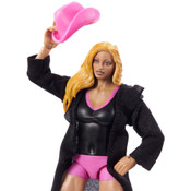 WWE Elite Collection Figures WWE Elite Collection Figures