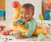 Fisher Price Go Wild Gym and Giraffe Wedge