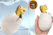 Dino World Magic Grow Egg and Grow Egg Mega Combo by JA-RU Dino World Magic Grow Egg and Grow Egg Mega Combo by JA-RU