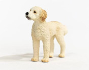 Schleich Goldendoodle Fm Schleich Goldendoodle Fm