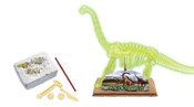Glow Skeleton Dig Kit Brachiosaurus Glow Skeleton Dig Kit Brachiosaurus
