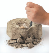 Discovery #Mindblown Mini Fossil Shark Teeth Dig Set 2 Pack Discovery #Mindblown Mini Fossil Shark Teeth Dig Set 2 Pack