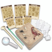 4M KidzLabs Creepy Crawly Digging Kit