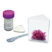 Grow Your Own Crystal Palace (Purple) Grow Your Own Crystal Palace (Purple)