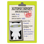 Deddy Bear Plush In Bag - Bundle