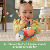 Fisher-Price Sea Me Bounce Tortoise Fisher-Price Sea Me Bounce Tortoise