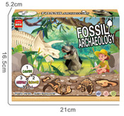 T-Rex Dinosaur Fossil