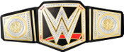 WWE Championship Wrestling Belt