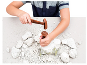 Archeofun T-rex and Triceratops Glow in the Dark Archeofun T-rex and Triceratops Glow in the Dark