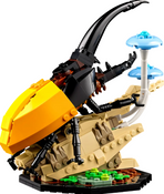 LEGO Ideas The Insect Collection 21342 LEGO Ideas The Insect Collection 21342