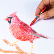 Cra-Z-Art Stationery 24 pcs Crayons Cra-Z-Art Stationery 24 pcs Crayons