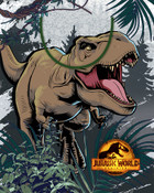 Licensed  Gift Bag - Large Licensed  Gift Bag - Large