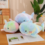 Dolphin Plush 50cm