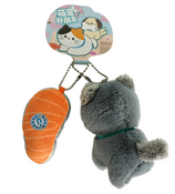 Cuddle Clings Cat & Salmon