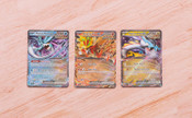 Pokemon TCG: Paradox Fury Premium Collection