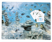 I Spy Fantasy 100 Piece Search & Find Puzzle