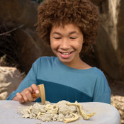 ZURU Robo Alive Fossil Find Amber Adventure ZURU Robo Alive Fossil Find Amber Adventure