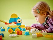 LEGO DUPLO 3in1 Animals on Wheels 10448