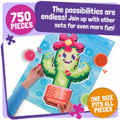 Jixelz Smiley Succulents Set 750pcs