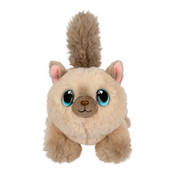 Little Live Pets My Kitty's Home Mini Playset Plush Reveal