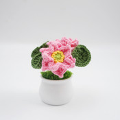 Delicate Blooms Crochet Daisies  - Pink