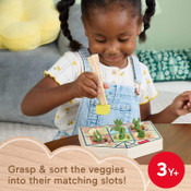 Fisher-Price Wood Sorting Greenhouse