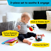 Baby Einstein Zen the Zebra 3-Piece Holiday Gift Set