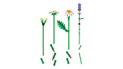 LEGO Botanicals Daisies 11508
