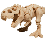 3D Printed T-rex Skeleton 