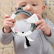 Fisher-Price Activity Rings