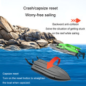 Wave Raider RC Speedboat