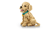 LEGO Icons Golden Retriever Puppy 11384