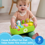 Fisher Price Pets Fine Motor Pop-up