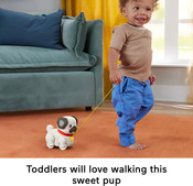 Fisher-Price Fp Pets Walk-The-Pup Pug Baby