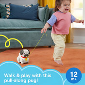 Fisher-Price Fp Pets Walk-The-Pup Pug Baby
