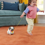 Fisher-Price Fp Pets Walk-The-Pup Pug Baby