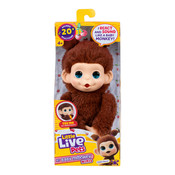 Little Live Pets - My Baby Monkey Minis