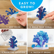 Lab Learners - Crystal Reef Lab