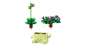LEGO Botanicals Rocking Plants 11506