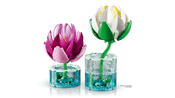 LEGO Botanicals Water Lilies 11511