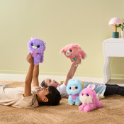 ScruffaLuvs Pet Scruffs Single Pack