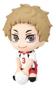 Twinchees Haikyu!! Defofig Dangler Blind Pack
