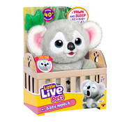 Little Live Pets My Baby Koala - Kiki