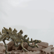 Science 4 You – Stegosaurus Fossil Excavation Kit 