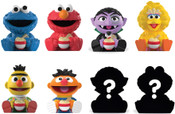 Rokimoto Sesame Street Blind Cup Figure