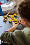 LEGO Technic Mighty Machines 42233
